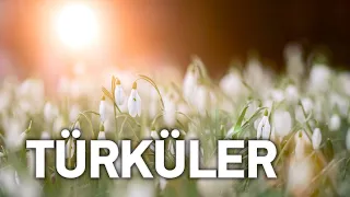 RADYO TÜRKÜLER (En Çok Dinlenen Türküler) #elapro