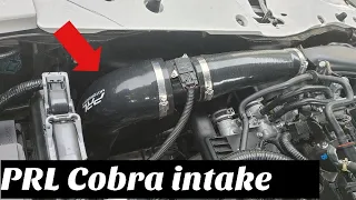 PRL cobra cold air intake sounds on a 10th gen civic