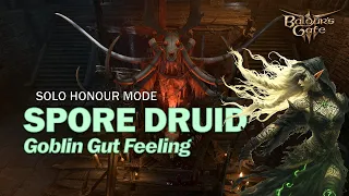 [Act 1] Solo Druid - Goblin Gut Feeling - Honour Mode