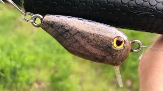 Holoshift crankbait