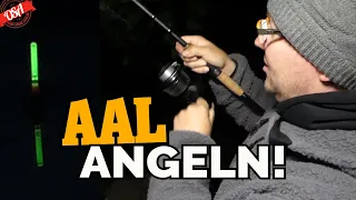 Biss auf Biss beim AAL Angeln! OSA in Mission Aalangeln