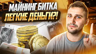 УСПЕЕШЬ или НЕТ?! МАЙНИНГ НА АСИКАХ: осталось 5 месяцев!