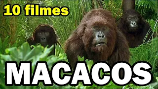 JÁ VIU TODOS? DEZ FILMES COM MACACOS E GORILAS