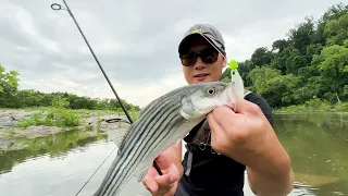 Potomac River Striped Bass (Rockfish) fishing near Chain Bridge (DC)