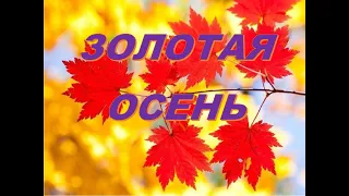 #Таро #Гадание «/ЧТО ЖДЕТ МЕНЯ ОСЕНЬЮ 2020 ГОДА» /ГЛАВНЫЕ СОБЫТИЯ СЕЗОНА/ ОНЛАЙН ГАДАНИЕ/