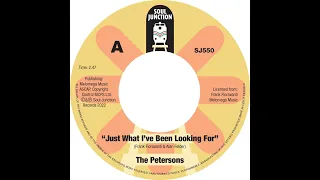 SJ550 The Petersons   Just What I've Been Looking For Promo