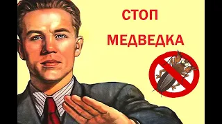 Медведка. КАК БОРОТЬСЯ С МЕДВЕДКОЙ