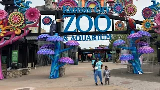 Kansas City Zoo: Leopards, Gorillas, Burmese Python, Snakes, And Red River Hogs - Oh My!