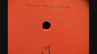 Sector - Orange