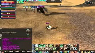 Lineage 2 Nostalgia some low lvl pvp`s