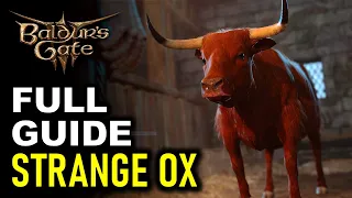 All Strange Ox Encounters: Help the Devilish Ox Full Quest Guide | Baldur's Gate 3 (BG3)