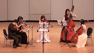 Dvorak String Quintet Op.77 II. Allegro vivace