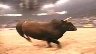 Team Equine's Evil Forces - 05 PBR Finals