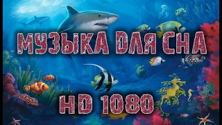 Подводный мир под музыку для сна 1 ЧАС -The underwater world to the music for sleep