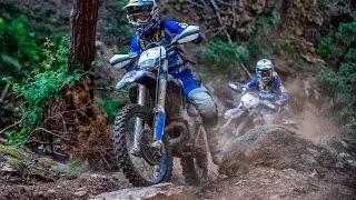 Erzbergrodeo champion Graham Jarvis overcomes painful defeat