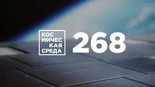 Космическая среда № 268 от 29 января 2020 года