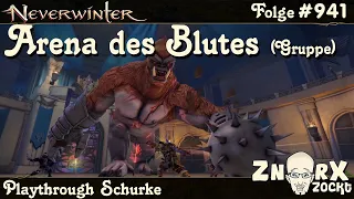 NEVERWINTER #941 Abenteuer im Wildraum - Arena des Blutes (Gruppe PUG) - Let's Play PS4/PS5 Deutsch