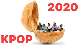 Kpop 2020 in a nutshell reaction!