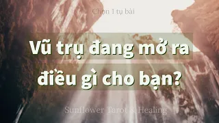 Chọn 1 tụ bài - Vũ trụ đang mở ra điều gì cho bạn?