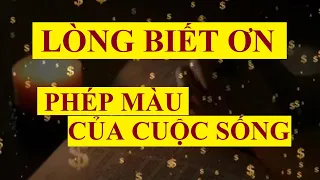 LÒNG BIẾT ƠN - PHÉP MÀU của cuộc sống || Sức mạnh tiềm thức