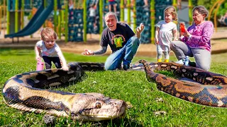 Took My Giant Snake To A Play Ground!