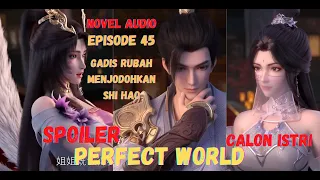 GADIS RUBA MENJODOHKAN SHI HAO||perfect world episode 45