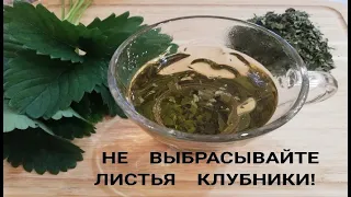 ВКУСНЫЙ ЦЕЛЕБНЫЙ ЧАЙ ИЗ ЛИСТЬЕВ ЗЕМЛЯНИКИ / КЛУБНИКИ КАК ПРИГОТОВИТЬ РЕЦЕПТ ПП ЗОЖ ПОЛЬЗА/ВРЕД