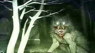 Scary Werewolf Legends You Pray Aren't Real