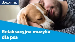 Muzyka Relaksacyjna Dla Psa | ADAPTIL dla psów