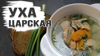 ЦАРСКАЯ УХА из красной рыбы с пшеном! Как приготовить УХУ из СЕМГИ. РЕЦЕПТ.