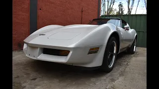 CORVETTE STINGRAY 1981 GENTE DE FIERRO