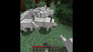 How We Finally Got Dogs in the 100 by 100 Minecraft World