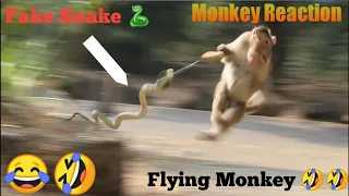 Fake Snake Prank On Monkey Part (5) || Fake Snake Prank Monkey || Funny Monkey Video | Funny Uploads