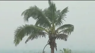 Hurricane Idalia intensifies, nears Florida I KMSP FOX 9