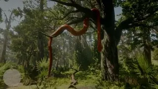 Red Dead Redemption 2 Anaconda?????