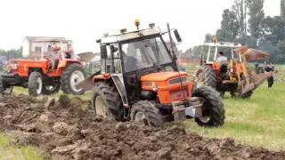 Fiat 1000s DT - Fiat 850 - Landini 10000 Aratura Bondanello 2016