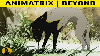 THE ANIMATRIX | Beyond | Matrix Glitch Episode F!nally Explained