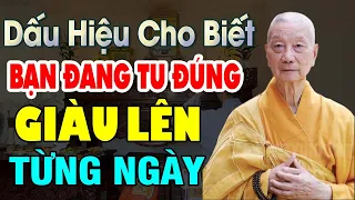 Dấu Hiệu Cho Biết Bạn Đang Tu Đúng và Đang "Giàu" Lên Từng Ngày - Thầy Trí Quảng (mới nhất 2023)