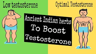 3 Best Herbs To Rocket Your Testosterone | Dr. Vivek joshi