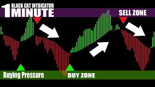 1 Minute Scalping Strategy Using Only 1 Indicator,  87% Accuracy + New Settings