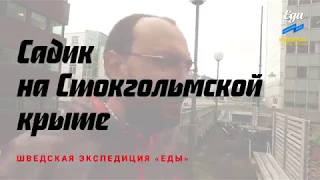 Стокгольм. Садик на крыше в самом центре