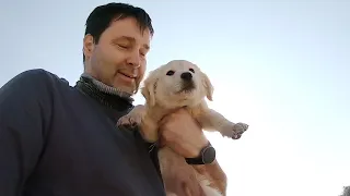 Two little puppies. A very incredible story of rescuing puppies.