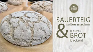 Sauerteig selber machen & Brot backen ohne Hefe | Roggenmischbrot backen 80/20 | Sauerteig ansetzen