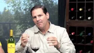 Campo Viejo Rioja Tempranillo 2010, Two Thumbs Up Wine Review