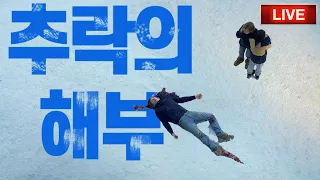 자살일까 아님 부인이 죽였을까ㅣ추락의 해부 리뷰 (결말공개) + 설명절 추천 영화 #영화소개 #영화추천 #영화리뷰 #개봉영화