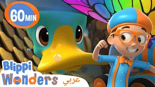 حياة البط | بليبي بالعربي | إكتشاف الحيوانات مع كرتون بليبي - Learn about Ducks!