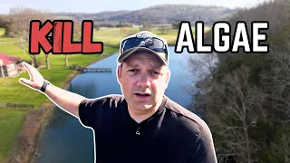 How To Kill Pond Algae - Cheap and Simple Steps