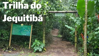 Jequitibá Trail - Três Picos Park