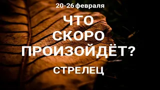 СТРЕЛЕЦ🍀 Прогноз на неделю (20-26 февраля 2023). Расклад от ТАТЬЯНЫ КЛЕВЕР. Клевер таро.