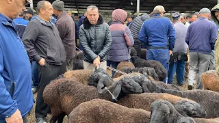 МОЛБОЗОРИ ЧУЗИ ШАХРИНАВ НАРХИ ГУСФАНД КУЧКОР ТАКА СЕРКА ГНОҶИН